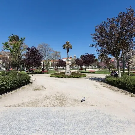 公寓 Seagull Rooftop Downtown - Light And Views