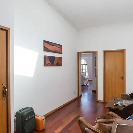 Seagull Rooftop Downtown - Light And Views 公寓