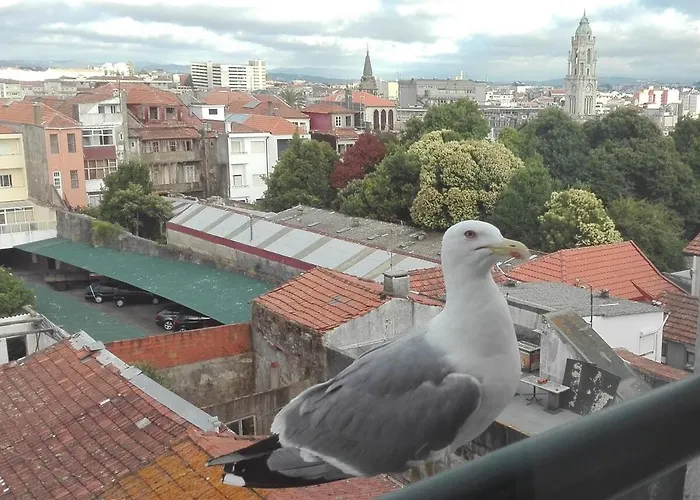 Apartmán Seagull Rooftop Downtown - Light And Views *