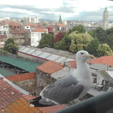 アパート Seagull Rooftop Downtown - Light And Views *